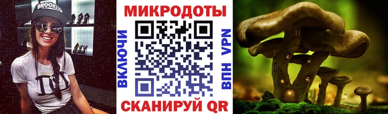 Псилоцибиновые грибы Psilocybe  Купить закладки  Туран 