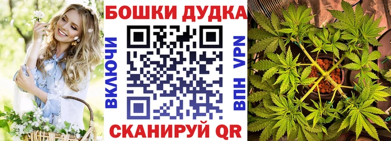 Купить закладки  Туран  Канабис план 
